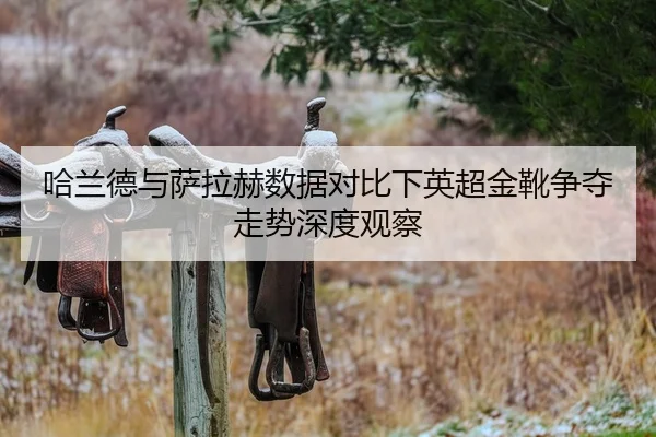 哈兰德与萨拉赫数据对比下英超金靴争夺走势深度观察