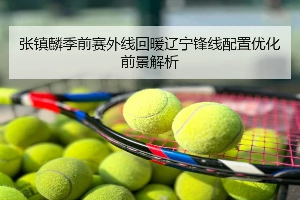 张镇麟季前赛外线回暖辽宁锋线配置优化前景解析
